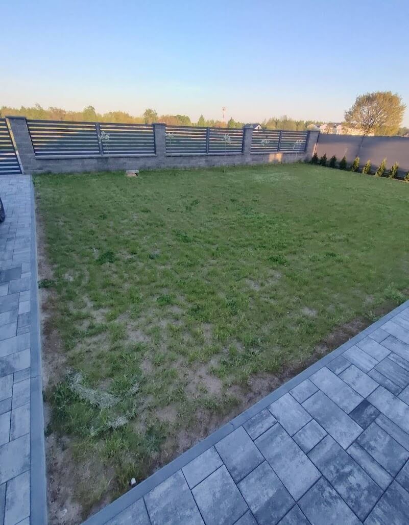 Trawnik przed regeneracją - zniszczenia zimowe